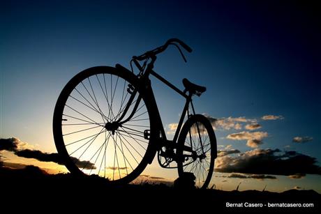 Световен ден на велосипеда 