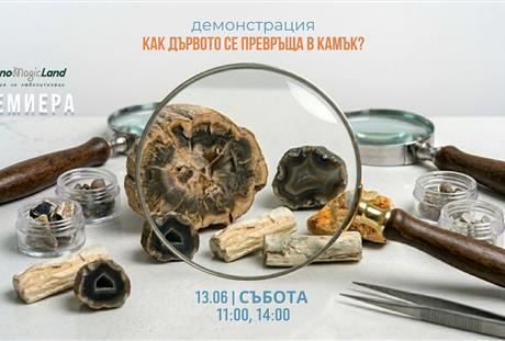 ПРЕМИЕРА - Демонстрация „Как дървото се превръща в камък?“ на 13 юни